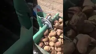 самодельная картофелесажалка в работе😊