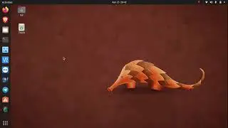 What is an Ubuntu?