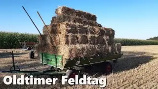Oldtimer Feldtag #oldtimer #traktor #dreschen