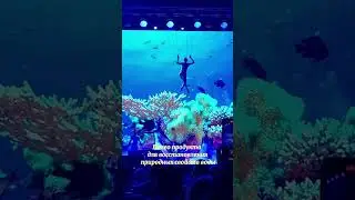 Миллионы людей по всему миру выбирают эту воду