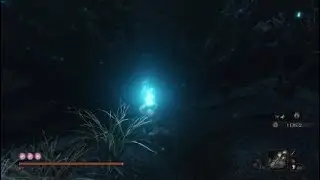 Sekiro™: Shadows Die Twice Scenario 1
