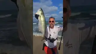 גומבר יפה נתפס על ציוד אולטרה לייט בשיעור המעשי של קורס דייג זרזור שאני מעביר. ליאור קדם 052-6007600