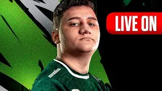 CASH CUP SOLO 