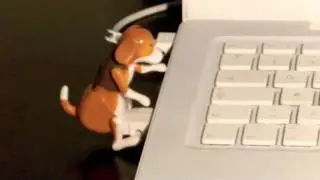 USB-hund Humping Dog