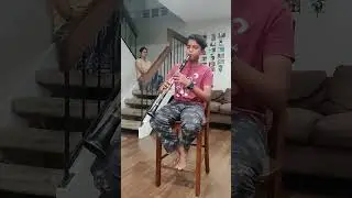 Naguva Nayana, Tamnam, Bella ciao mashup, Hrudai on Clarinet