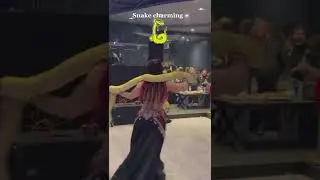 victoriafaeze belly dance