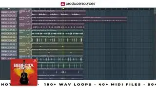 BEBECITA - Latin Trap Sample Pack - Producersources.com