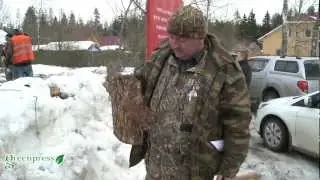 Короед в Московской области