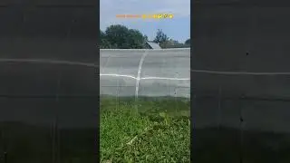 5 июля 2024 г.