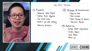 The Audit Process