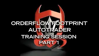 Order flow Footprint Auto Trader. Training, trade examples, and decisions during a full day. Part 1