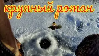 Fishing for rotan in winter in the Chelyabinsk region . The first ice 2021 Rotan from the ice.