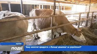 Mykhailo Travetskyi explains why dairy products from Poland are cheaper than Ukrainian ones. 2023...