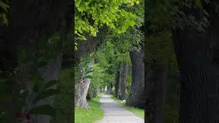 This Vid Made My Day