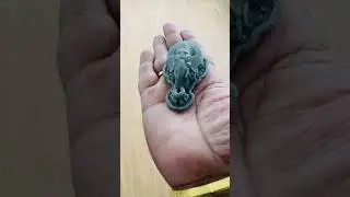 3D printed Ganesha #ganesha #ganesh #ganesha_status #ganeshchaturthi #ganesh_chaturthi_status