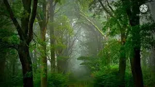 ПРИРОДА УСПОКАИВАЮЩЕЕ (RELAXING)