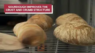 R&D Center to help bakeries test new processes