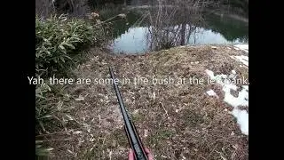 Shooting spot-billed ducks!