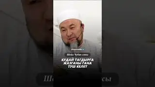 Чубак ажы Жалилов! 