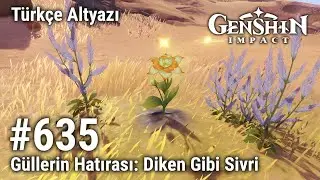 Genshin Impact 