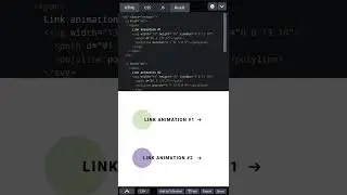 CSS Hover Animation