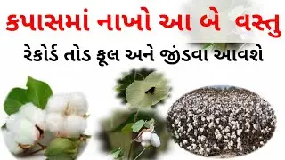 કપાસ ઉત્પાદન મા વધારો [kapasnu vadhu utpadan | How can we doubleproduction in cotton...