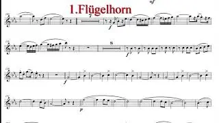 Herzkäferl Polka