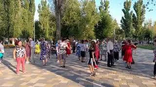 Ромашка