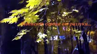 Холодает  на улице осень