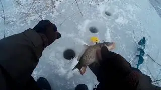 Шалений кльов  карася в коряжнику!!!