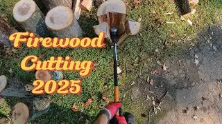 Firewood Cutting Finale // Part 3: Splitting and Stacking