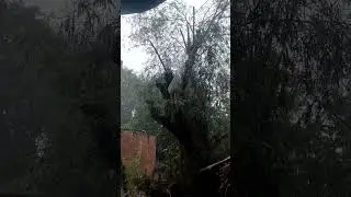 Rim Jhim savan ki bunde💨💦💦🌧️🌧️#vlogvideos #shortvideo ##trendingshorts 🌄👍👍