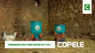 Bebedero Silo Free-Range