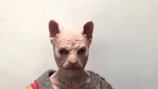 The Sphynx female fit silicone mask