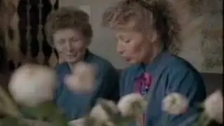 Pölynimurikauppias