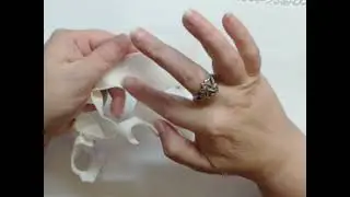Земляника из фоамирана