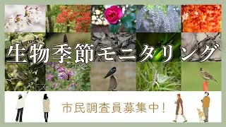 市民調査員と連携した生物季節モニタリング