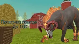 ПРОКАЧКА ЛОШАДИ ДО 100 | WildCraft