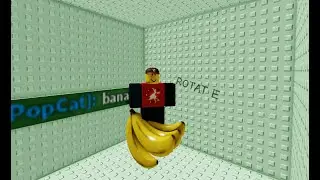 playing roblox before it gets down again