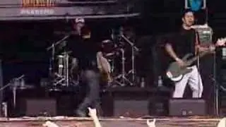 Millencolin - Fox