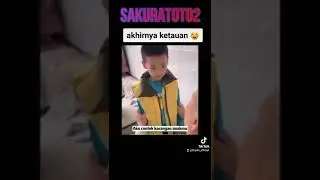 SAKURATOTO GRUP | AUTO NANGIS