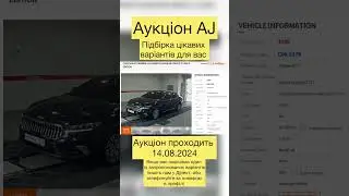 Підбірка цікавих варіантів з аукціонів Південної Кореї 14.08.2024
