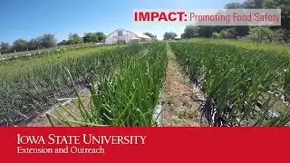 IMPACT: Promoting Food Safety