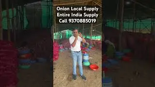Become Onion Supplier Get Best Quality Onion 🧅
