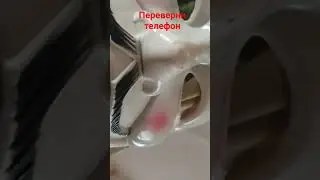 На данной записи снюсоед В первые видит камеру  .(Задавайте вопросы) 