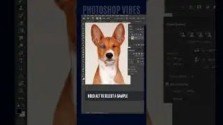 How to Correct Pet Eyes with Clone Source in Photoshop