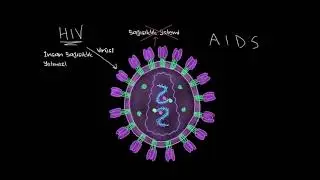 HIV ve AIDS Nedir? (Sağlık Bilgisi ve Tıp)