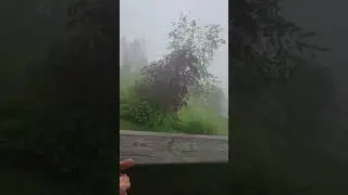 eating gel candy in a rainy season in austria