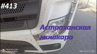 Новый рейс, много мошкары, снова в Астрахань! ВЛОГ ДАЛЬНОБОЙЩИКА 