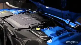 Peter Bleakney on performance cars